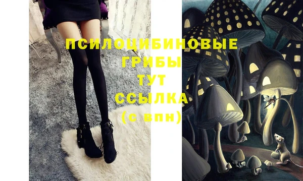 Альфа ПВП Алексеевка