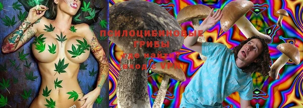 спайс Алексин