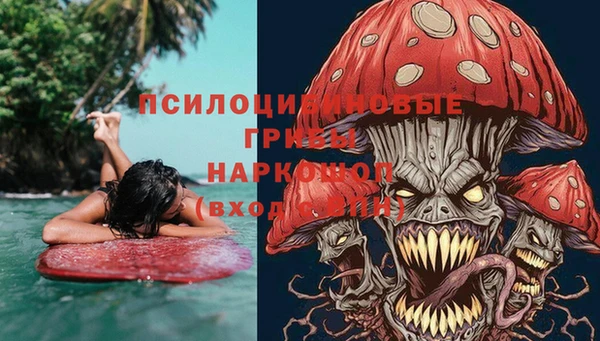 шишки Абдулино