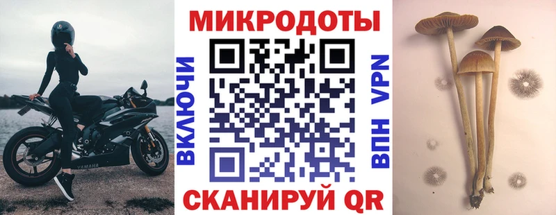 Галлюциногенные грибы Cubensis  Пудож 