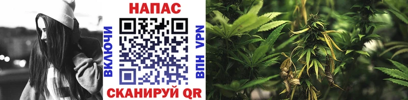 kraken онион  площадка официальный сайт  Бошки марихуана OG Kush  Пудож 